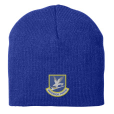Beanie Cap Beanie Cap